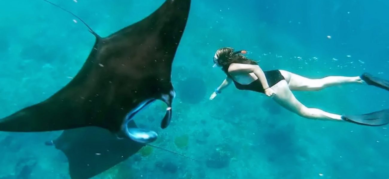 Snorkeling-With-Manta-1