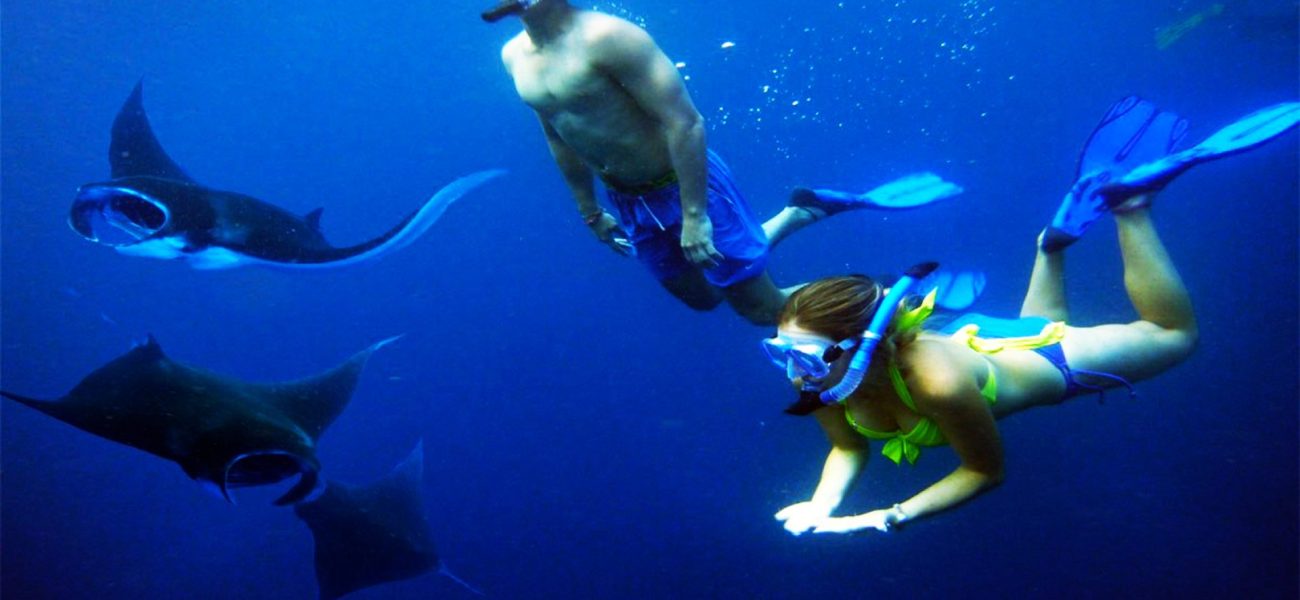 Snorkeling-With-Manta